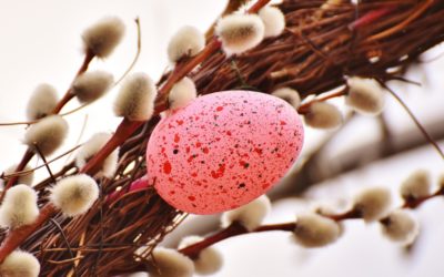 Ostern steht vor der Tür56,00 €