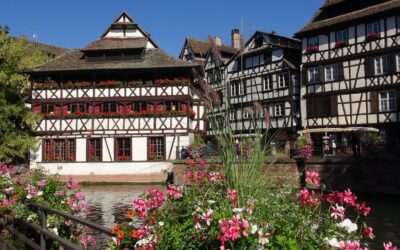 Elsass & Schwarzwald – Vielfalt pur859,00 €