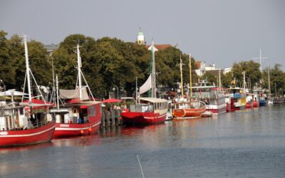 Maischollen & Meer86,00 €