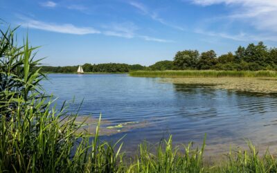 Schlemmen & Schippern nach Ostern96,00 €